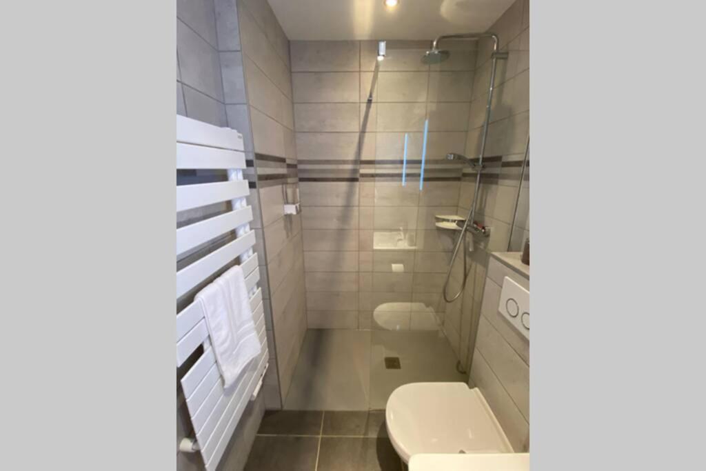 Apartamento Le Continental Beau T2 Plein Centre + Parking Annecy Exterior foto