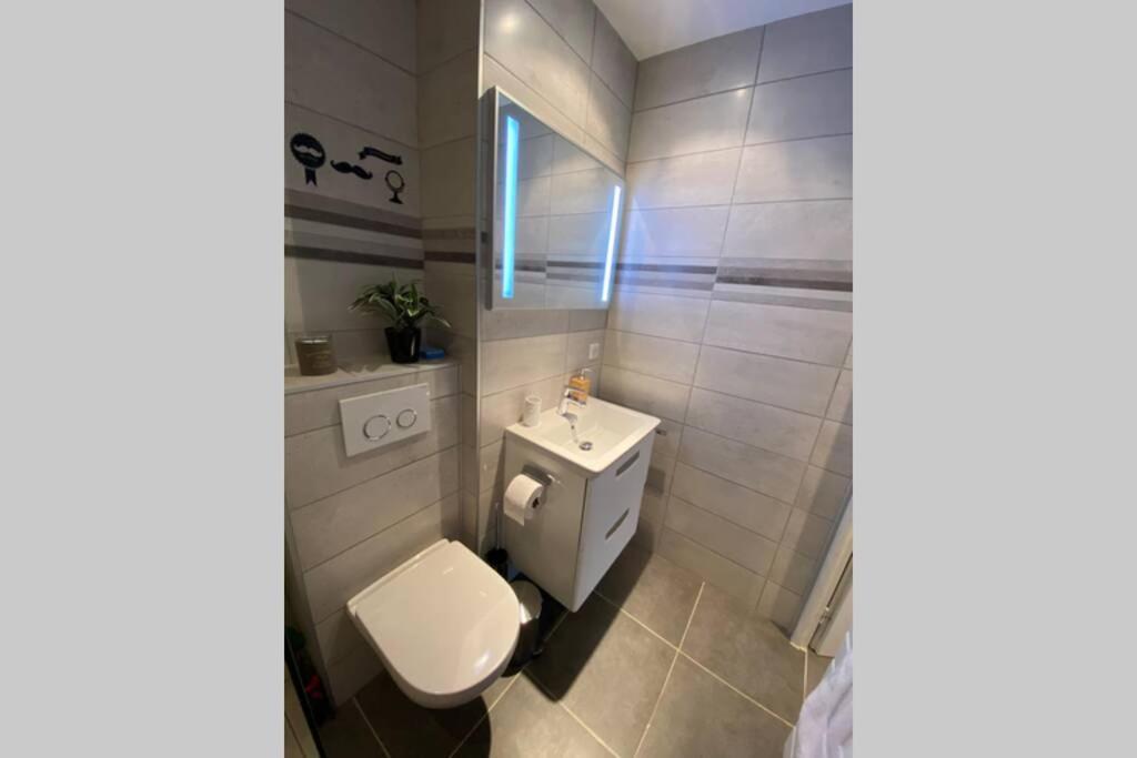 Apartamento Le Continental Beau T2 Plein Centre + Parking Annecy Exterior foto